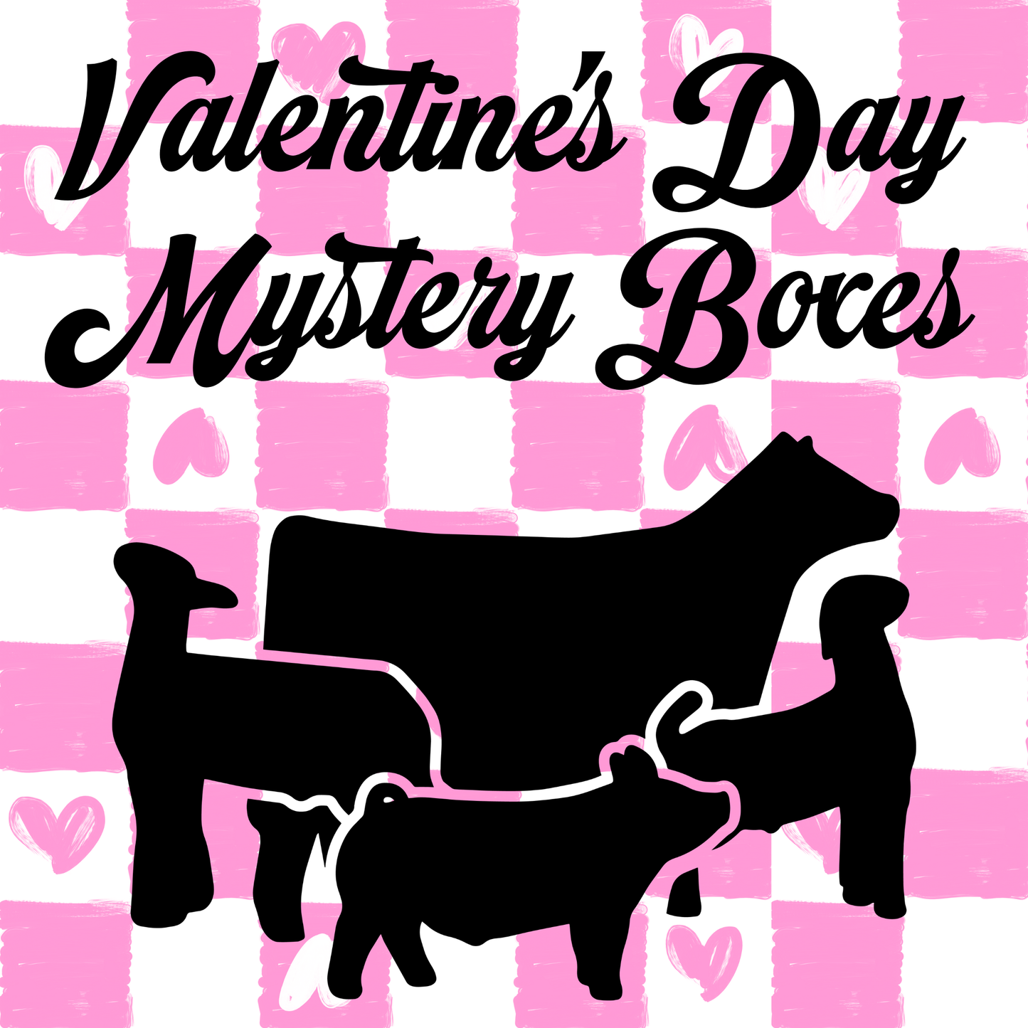 Valentine's Day Mystery Boxes